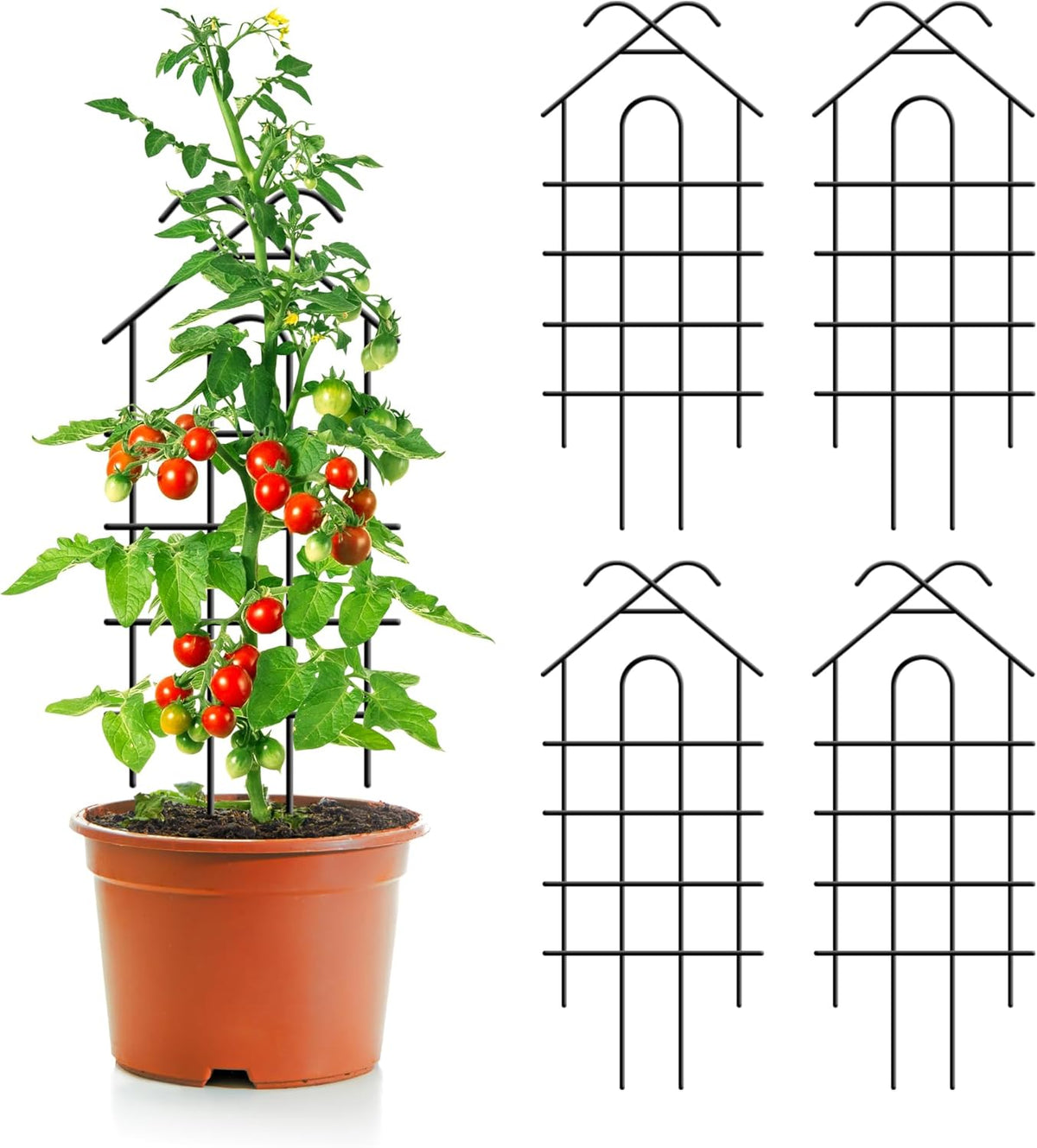 ARIFARO 24'' Metal Garden Trellis Indoor/Outdoor Sturdy Plant Trellis for Potted Plants,House
