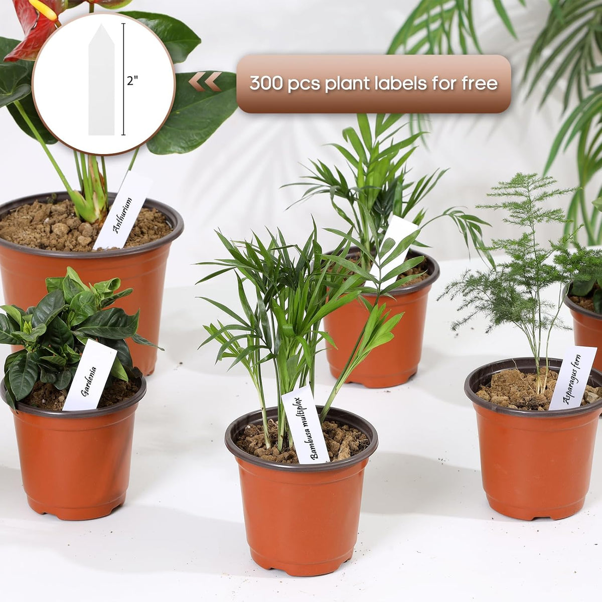 300 Pack 4 Inch Plastic Nursery Pots for Plants, Small Seedling Pots Succulent Pots Flower Pots