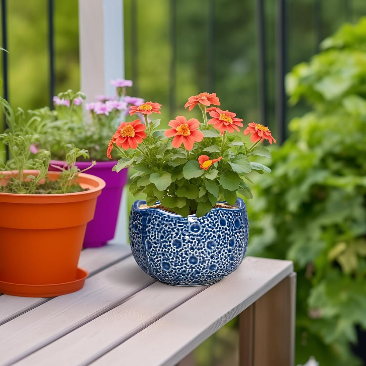Orchid Pot - 6 Inch Ceramic Plant Pot for Indoor Outdoor, Round Unique Planters with Drainage Hole