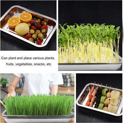 10 Pack Stainless Metal Trays, Stainless Steel Seed Starter Carry Tray for Nursery Seedling Pots