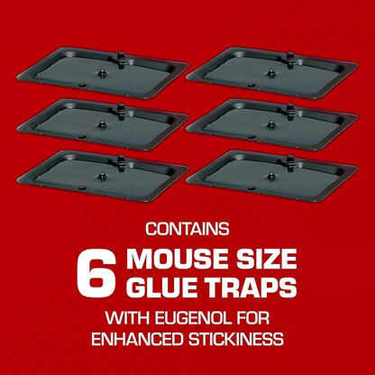 Tomcat Glue Traps Mouse Size with Eugenol for Enhanced Stickiness for Mice, Cockroaches, and