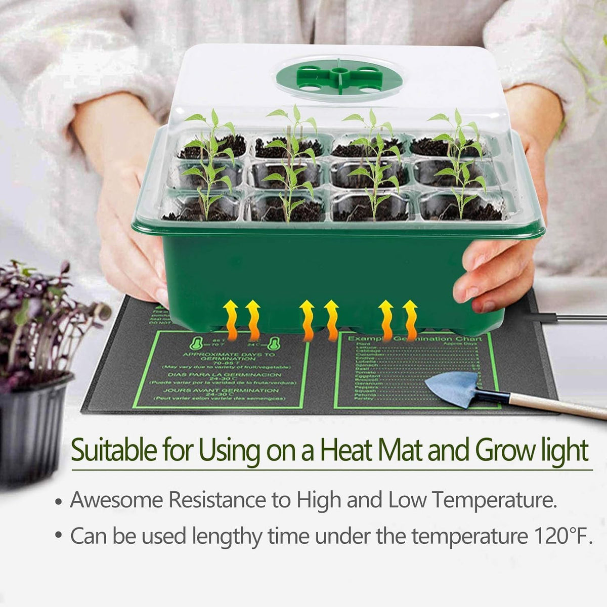 Seed Starter Tray, 12 Set Seedling Kits with Adjustable Humidity Dome, Plant Starter Kit for Seeds