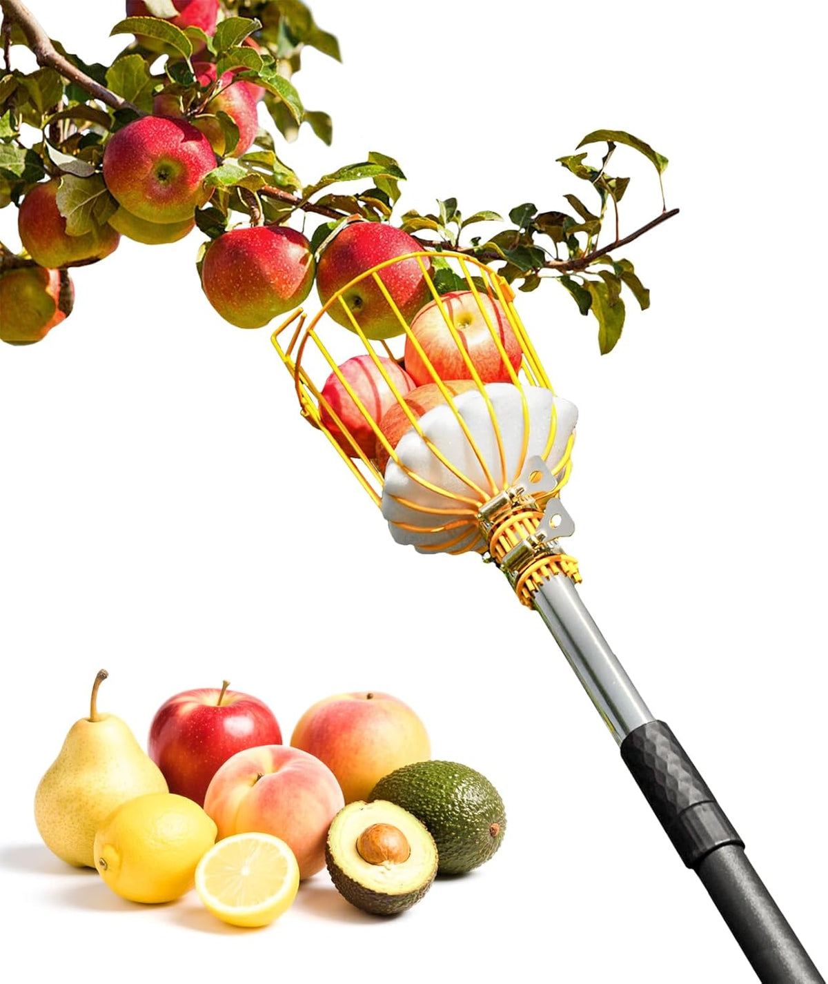 6.5FT Fruit Picker, Apple Picker Tool with Adjustable Pole and Basket, Long Reach Mango Grabber