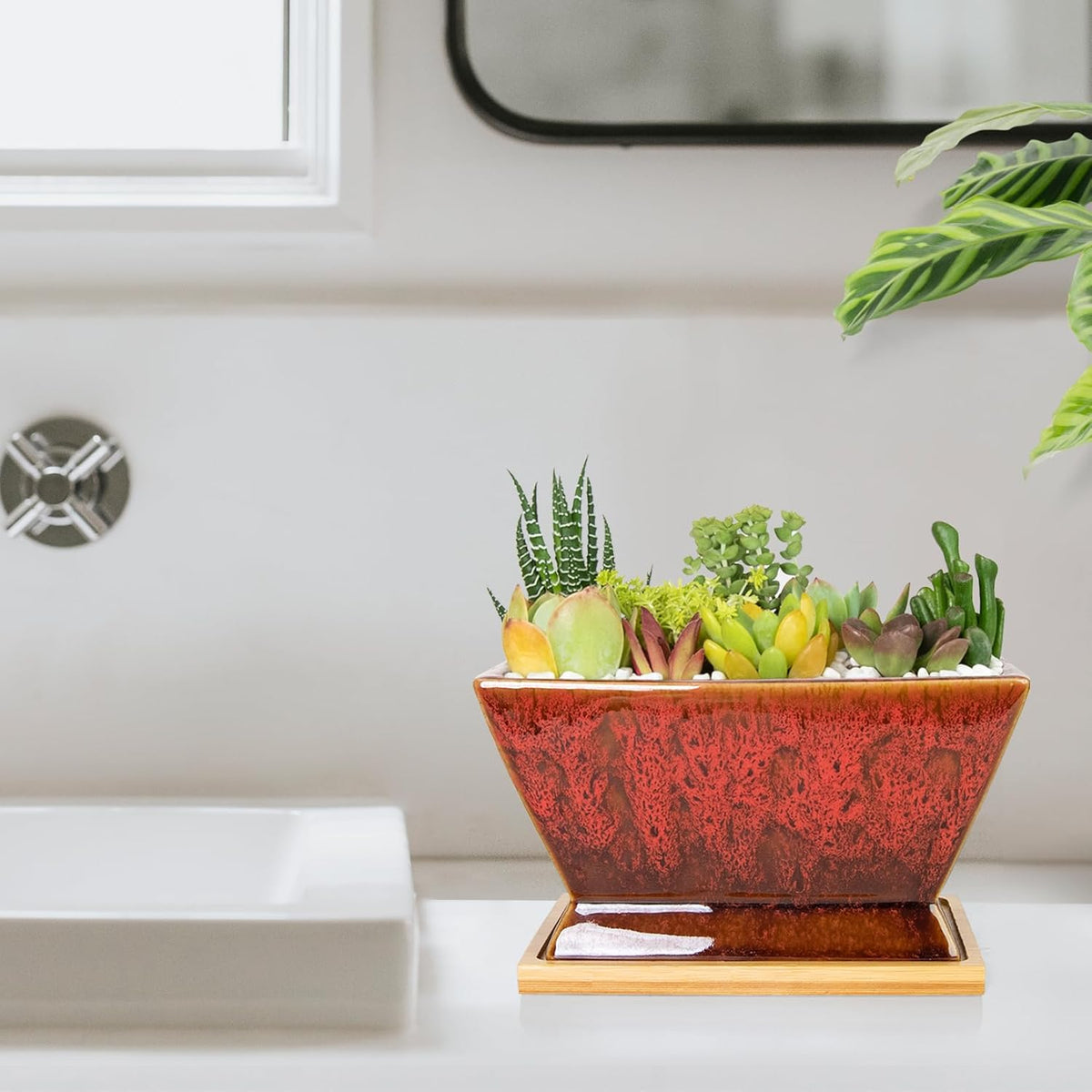 ARTKETTY Succulent Pots - 7 Inch Large Plant Pot with Drainage Tray, Shallow Ceramic Pots for