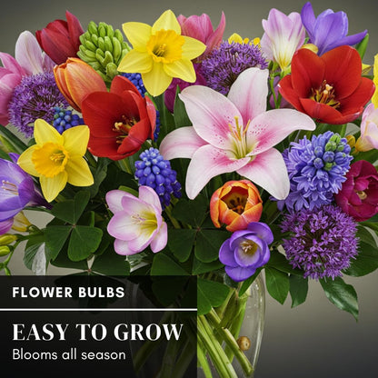 Complete Spring Flower Garden | 50 Fresh Bulbs | Bloom All Spring and Summer, Easy to Grow Flower