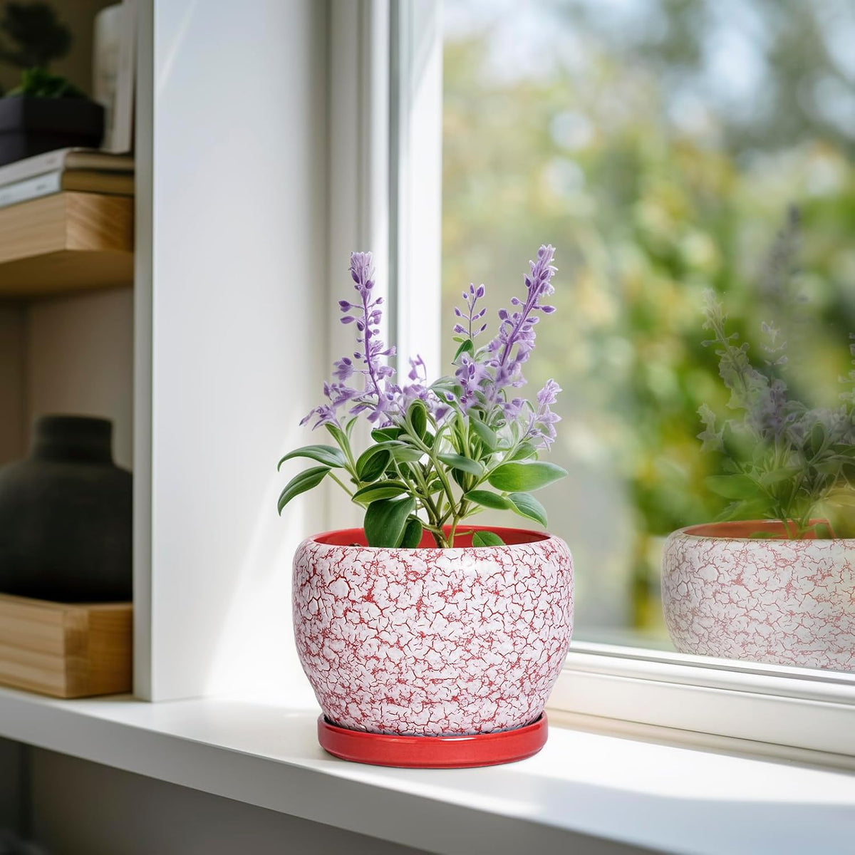 SQOWL 6 Inch Plant Pot - Ceramic Planter for Indoor Outdoor, Round Decorative Plant Pot with