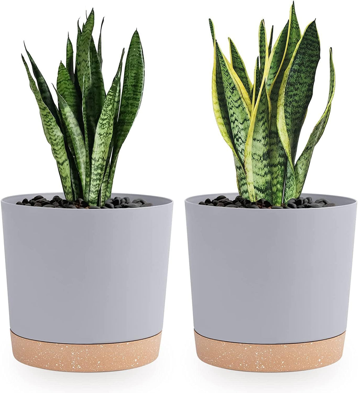 QCQHDU 8 inch Plant Pot, 2 Pack Planters for Indoor Plants with Drainage Holes & Saucer, Outdoor