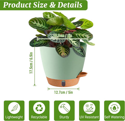 2 Pack 8 Inch Pots for Plants Indoor, Plastic Self Watering Planters with Drainage Holes, Water