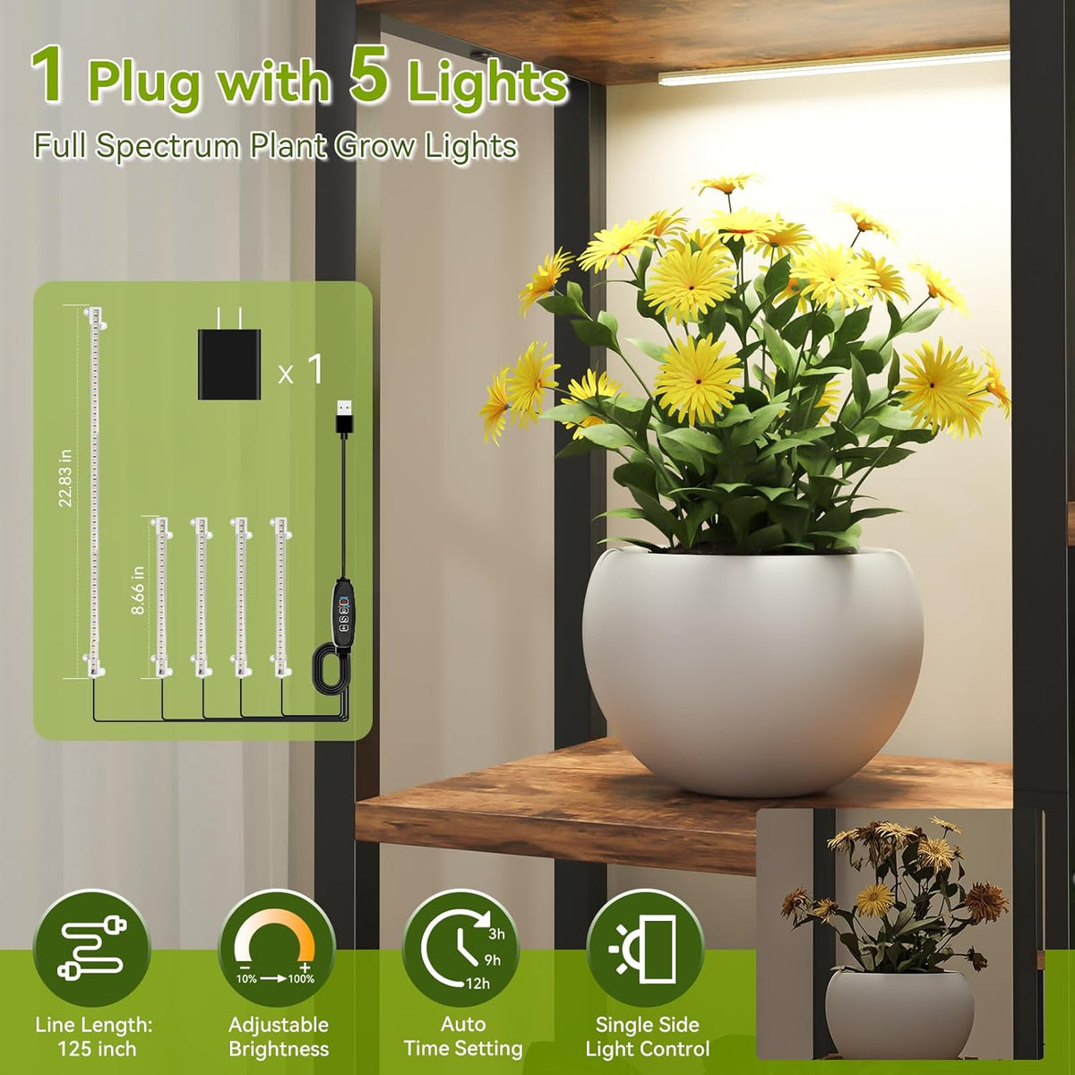 C2 Plant Stand Indoor with Grow Lights, Indoor Tiered Metal Plant Stand 70.87" Tall Plant Shelf