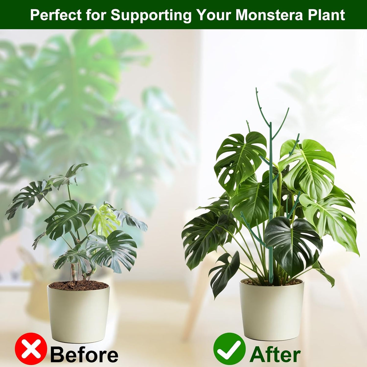 10 Pack Stackable Monstera Plant Support, Garden Stakes for Climing Plants Stem Support, Durable