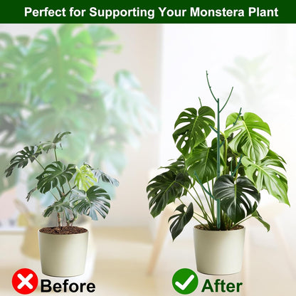 10 Pack Stackable Monstera Plant Support, Garden Stakes for Climing Plants Stem Support, Durable