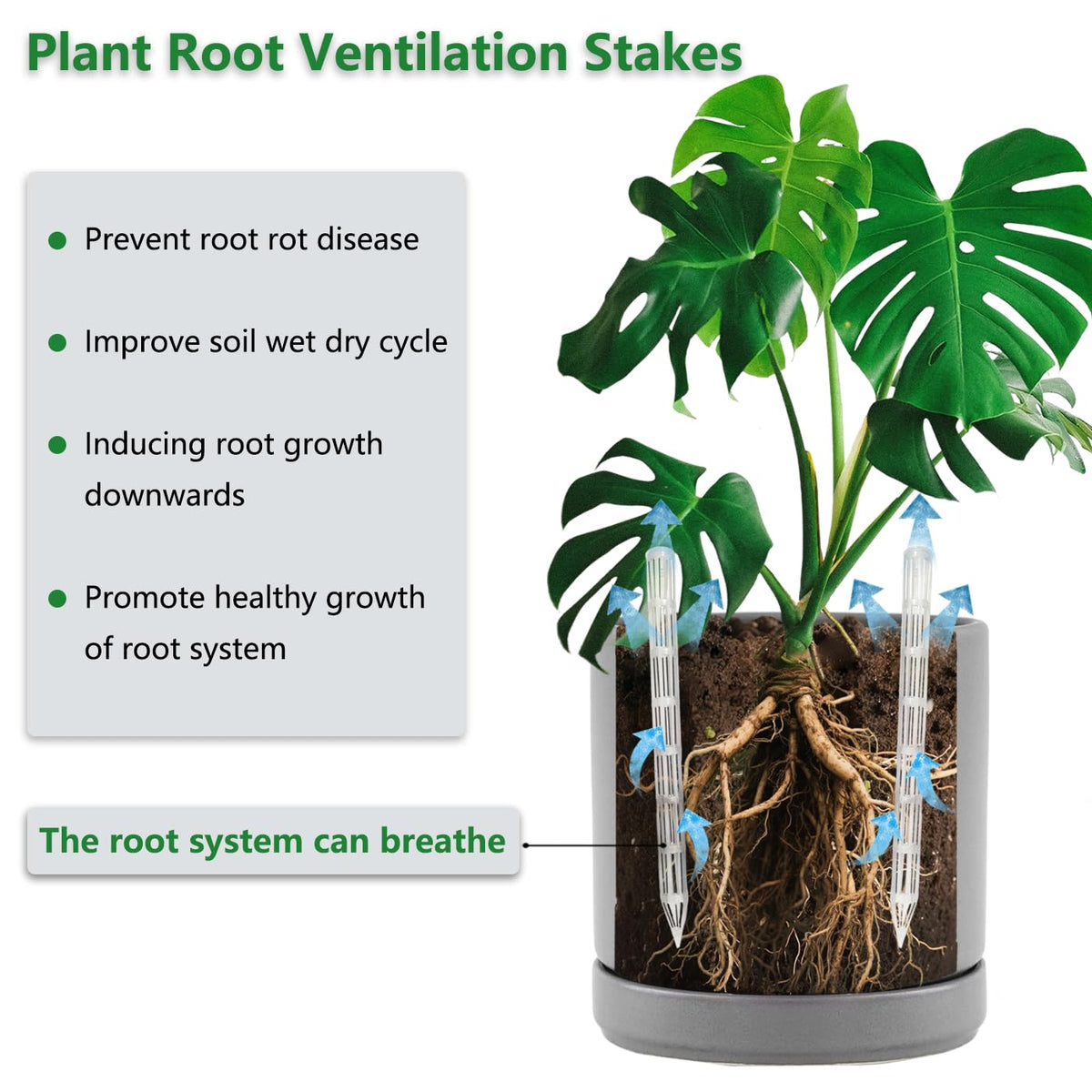 Belit 16 Pcs Plant Root Ventilation Stakes, Breathable Stake Beneficial for Root Respiration