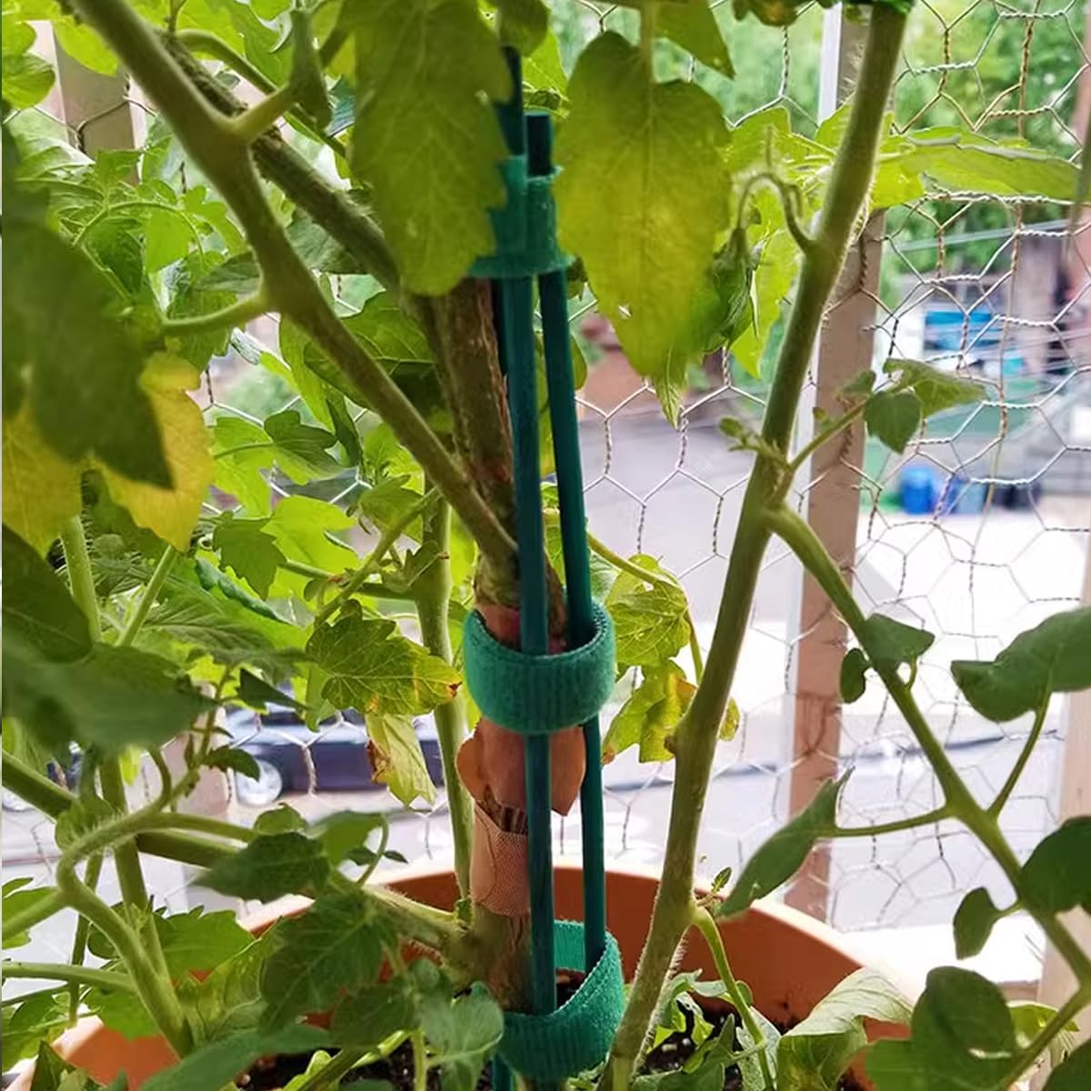 GXXMEI 100PCS 18" Plant Sticks Support with 100PCS Green Garden Ties, Green Bamboo Sticks, Garden