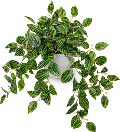 Briful Artificial Plants Indoor Fake Potted Silk Plants Faux Watermelon Peperomia Draping Plant for