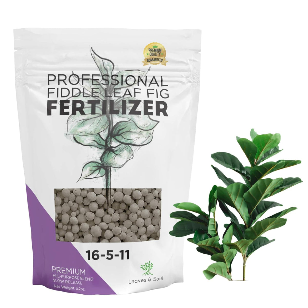 Fiddle Leaf Fig and House Plant Fertilizer Pellets |16-5-11 Slow Release Pellets for Seedlings and