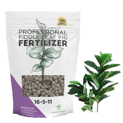 Fiddle Leaf Fig and House Plant Fertilizer Pellets |16-5-11 Slow Release Pellets for Seedlings and