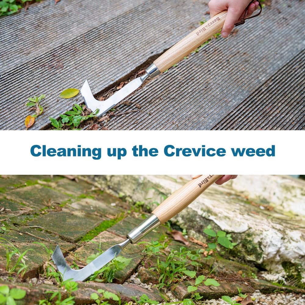 Berry&Bird 15.2'' Crack Weeder Crevice Weeding Tool with Ashwood Handle, Manual Weed Puller for