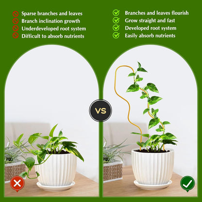 13.4 Inch Indoor Plant Trellis for Climbing Plants,Metal Trellis,Small Garden Trellis for Potted