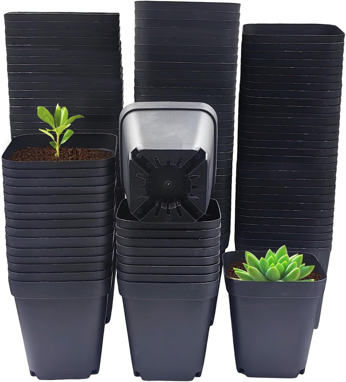 Square Nursery Pots 3" 120Pcs Deep Succulent Plastic Pots Small Flower Planter Seeds Starter