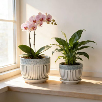 FOLKLORE13 Vintage Flower Pots for Indoor Plant, Round Ceramic Plant Pots with Drainage Holes and