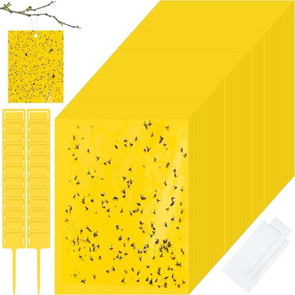 Qualirey 200 Pcs 6 x 8 Inch Sticky Traps for Gnats Dual Sided Fruit Fly Sticky Traps for Indoor and