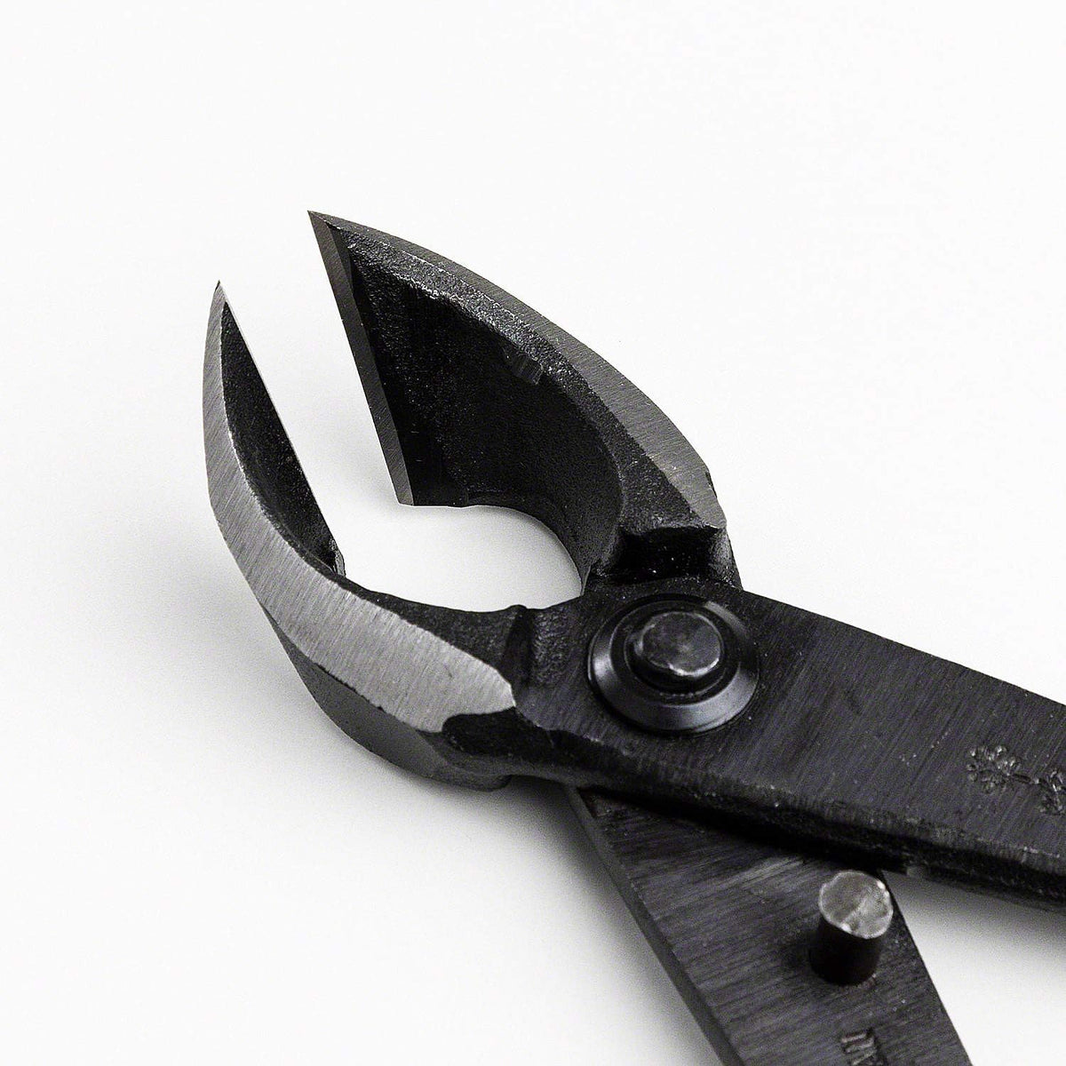 Wazakura Japanese Bonsai Tool Kit Made in Japan - Satsuki Scissors 7inch(180mm) + Concave Branch