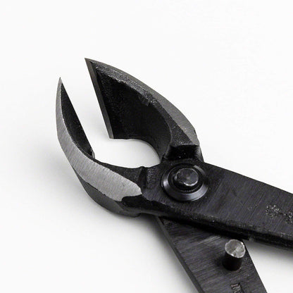Wazakura Japanese Bonsai Tool Kit Made in Japan - Satsuki Scissors 7inch(180mm) + Concave Branch