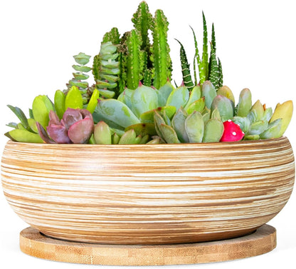 ARTKETTY Succulent Pots - 7.5 Inch Large Plant Pot with Bamboo Tray, Shallow Bonsai Pots with
