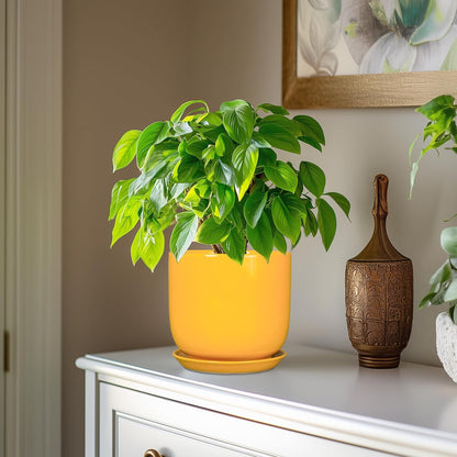 Indoor Plant Pot - 7 Inch Modern Round Ceramic Planter for Indoor Outdoor Plants with Drainage Hole