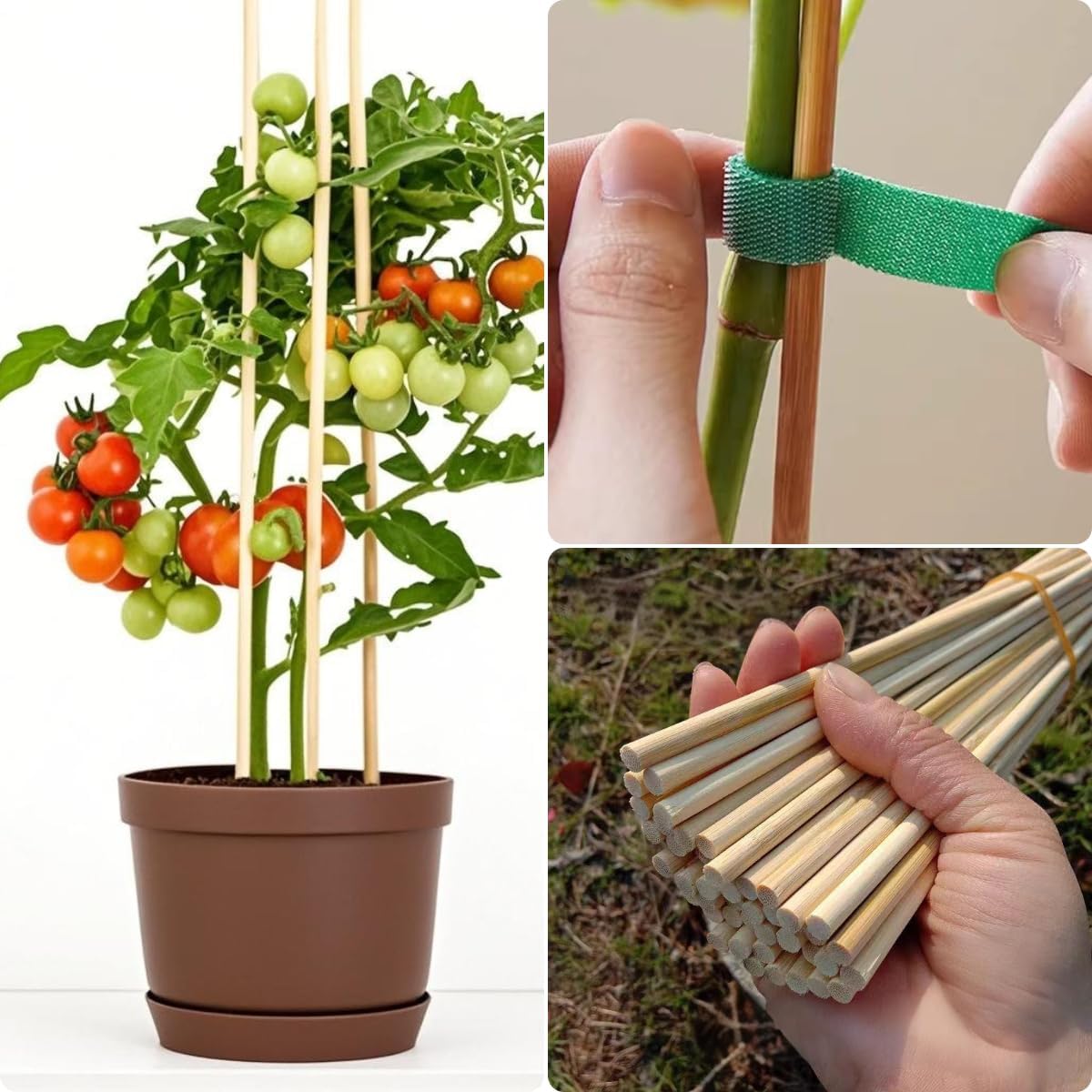 100 PCS 3FT Bamboo Plant Stakes 6.3mm Thick – 36-Inch Bamboo Sticks for Plants, Tomatoes, Beans
