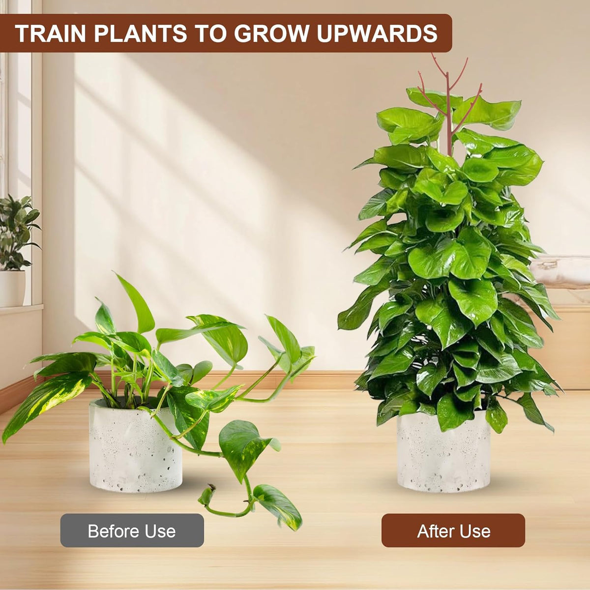 6 Pack Stackable Monstera Plant Support, Plant Stakes for Indoor and Outdoor Plants Use, Garden