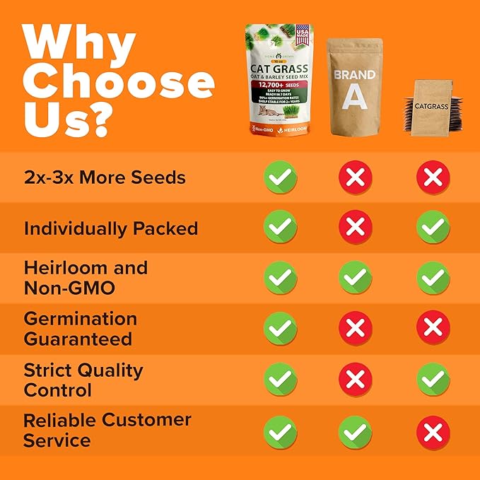 HOME GROWN 𝗨𝗦𝗔 𝗣𝗥𝗘𝗠𝗜𝗨𝗠 1 Pound Cat Grass Seeds for Cat & Kittens Oat & Barley Mix 100%