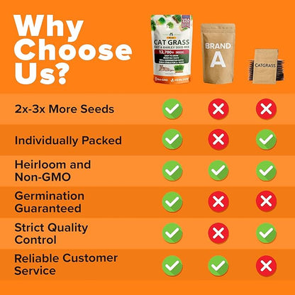 HOME GROWN 𝗨𝗦𝗔 𝗣𝗥𝗘𝗠𝗜𝗨𝗠 1 Pound Cat Grass Seeds for Cat & Kittens Oat & Barley Mix 100%