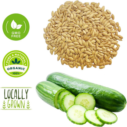 250+ Organic Marketmore Cucumber Seeds – Premium Heirloom Seeds – Perfect for Gardens, Raised Beds