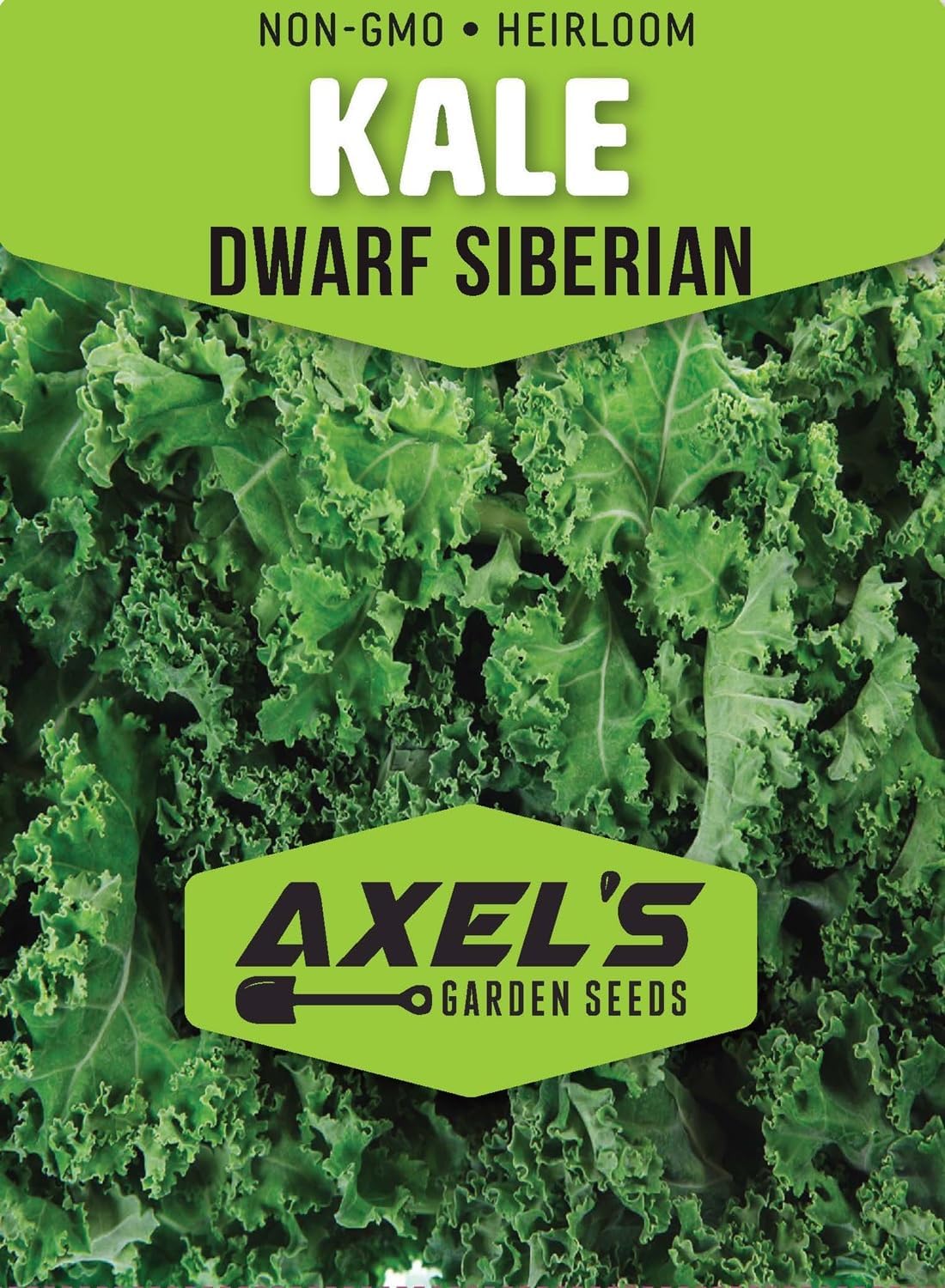 Kale Seeds for Planting - Plant & Grow Heirloom Kale Varieties Home Outdoor Garden – Easy Grow
