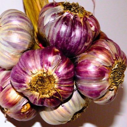 1 Pound Garlic for Planting in Fall Hardneck, 8-10 Purple Garlic Bulbs for Planting, Fresh and High