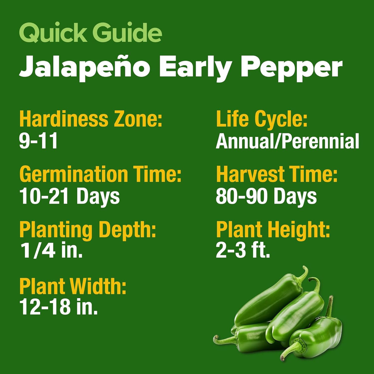 HOME GROWN Jalapeno Pepper Seeds – 258 𝗡𝗢𝗡-𝗚𝗠𝗢 𝗨𝗦𝗔 Heirloom Seeds (Capsicum annuum) – High