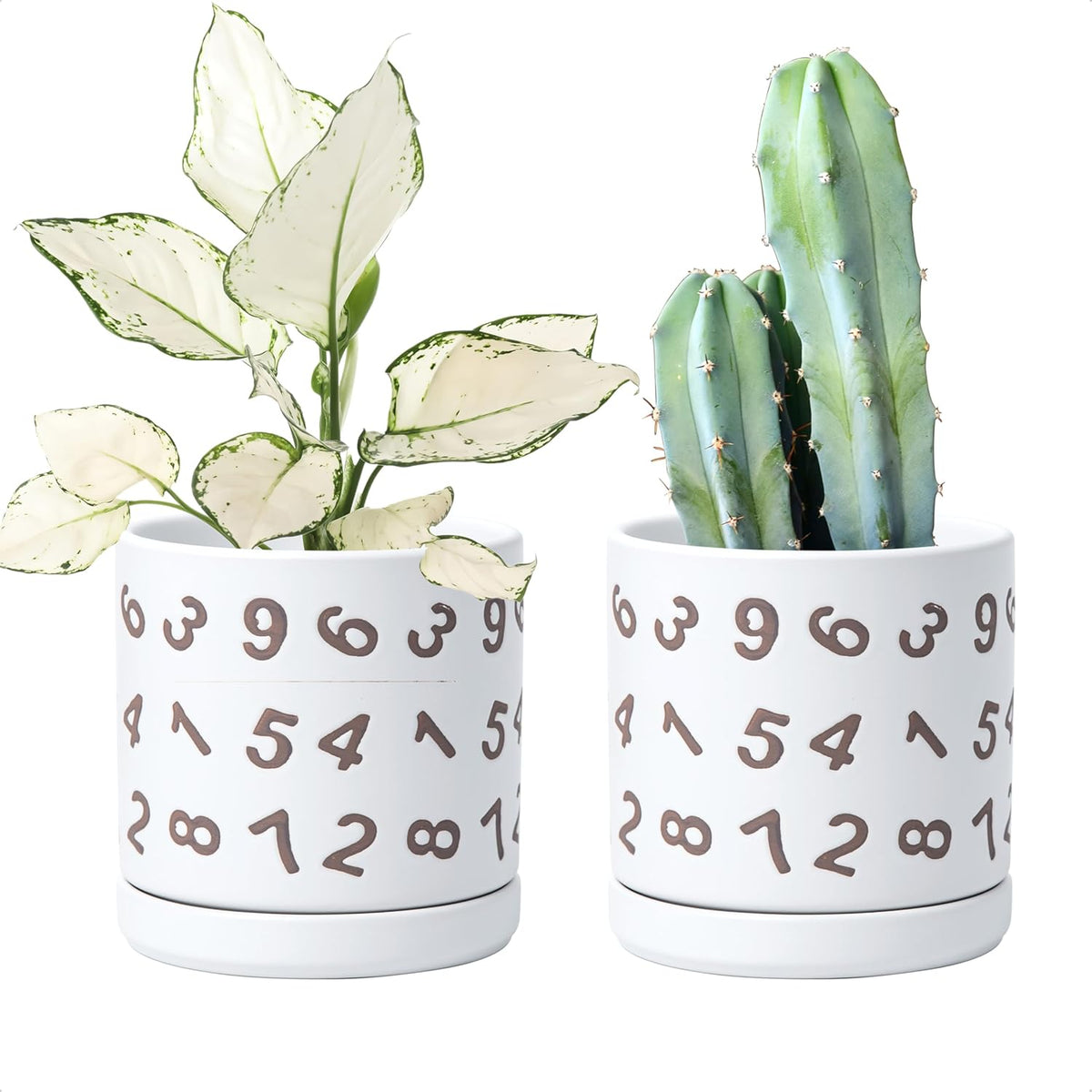 D'vine Dev Set of 2 Ceramic Planter Pots with Drainage Hole and Saucer, 6 Inch Plant Pots for