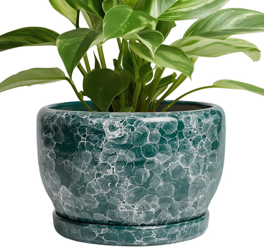 SQOWL 8 Inch Plant Pot - Ceramic Planter for Indoor Plants, Decorative Flower Pot with Drainage