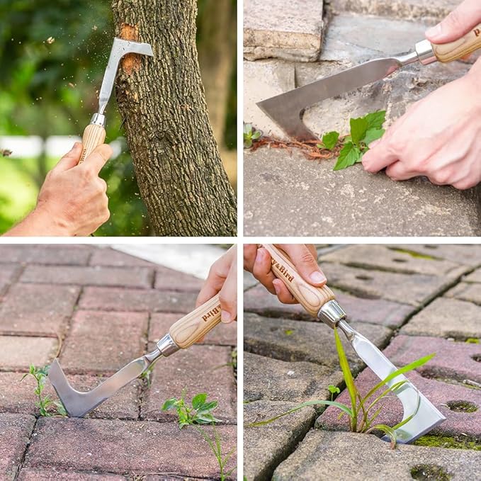 Berry&Bird Crack Weeder, Crevice Weeding Tool, 11.2" Stainless Steel Manual Weeder, L-Shaped
