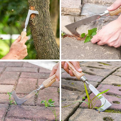 Berry&Bird Crack Weeder, Crevice Weeding Tool, 11.2" Stainless Steel Manual Weeder, L-Shaped