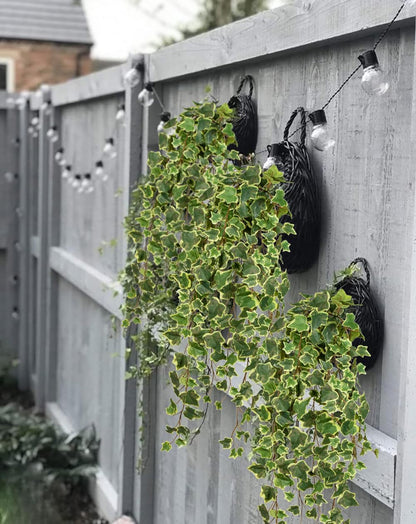 Hollyone Artificial Hanging Plants 35.4" Fake Ivy Vine Faux Ivy Leaves Fire and UV Resistant