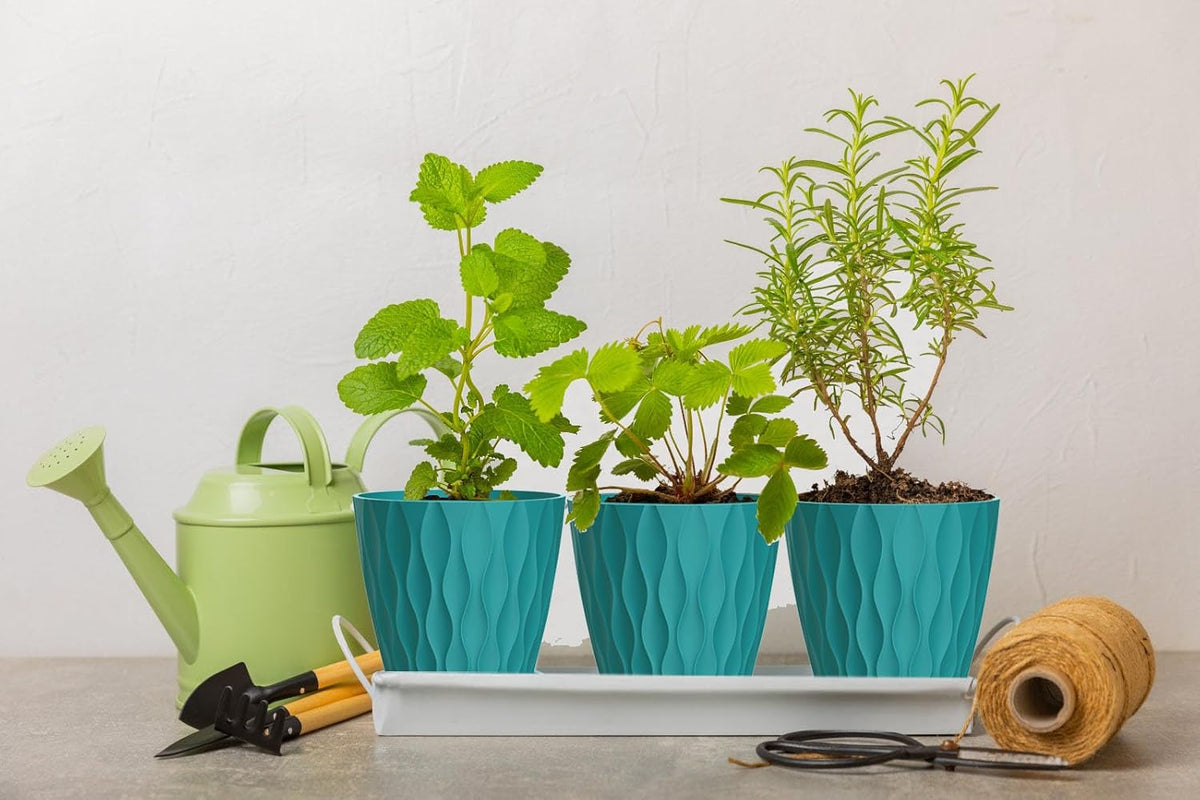 6 Inch Plant Pots, 6 Pack Indoor Flower Pots, Planters with Drainage Holes and Trays for Orchids