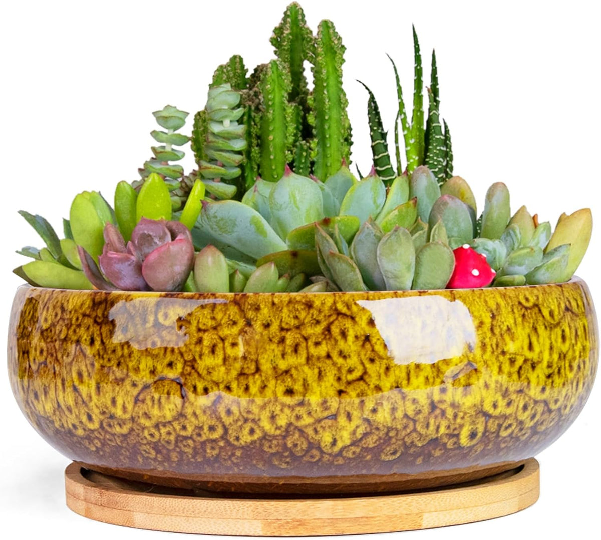 ARTKETTY Succulent Pots - 7.5 Inch Large Plant Pot with Bamboo Tray, Shallow Bonsai Pots with