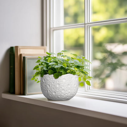 Ceramic Pots for Plants - 6 Inch Plant Pot for Indoor Outdoor, Decorative Orchid Pots with Drainage