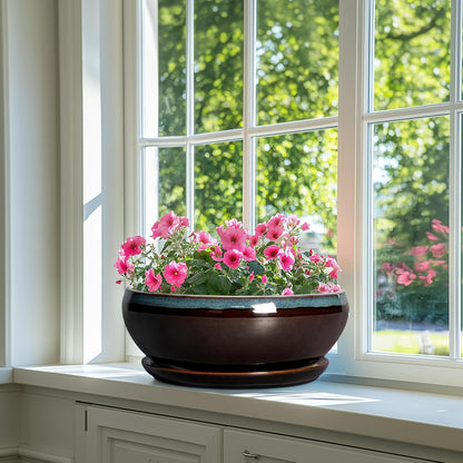 SQOWL Bonsai Planter 12 Inch - Ceramic Succulent Pots Large, Round Shallow Plant Pots Indoor with