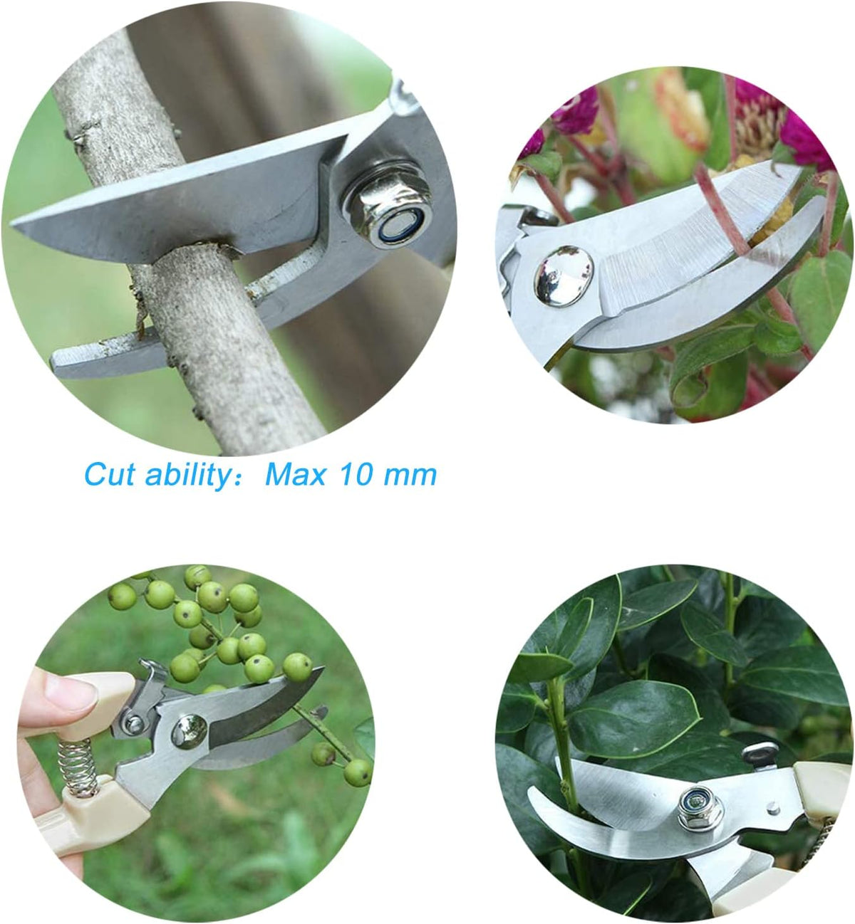 Curve Gardening Scissor with Sharp Stainless Steel Blade Garden Shears for Cutting Flowers Trimming