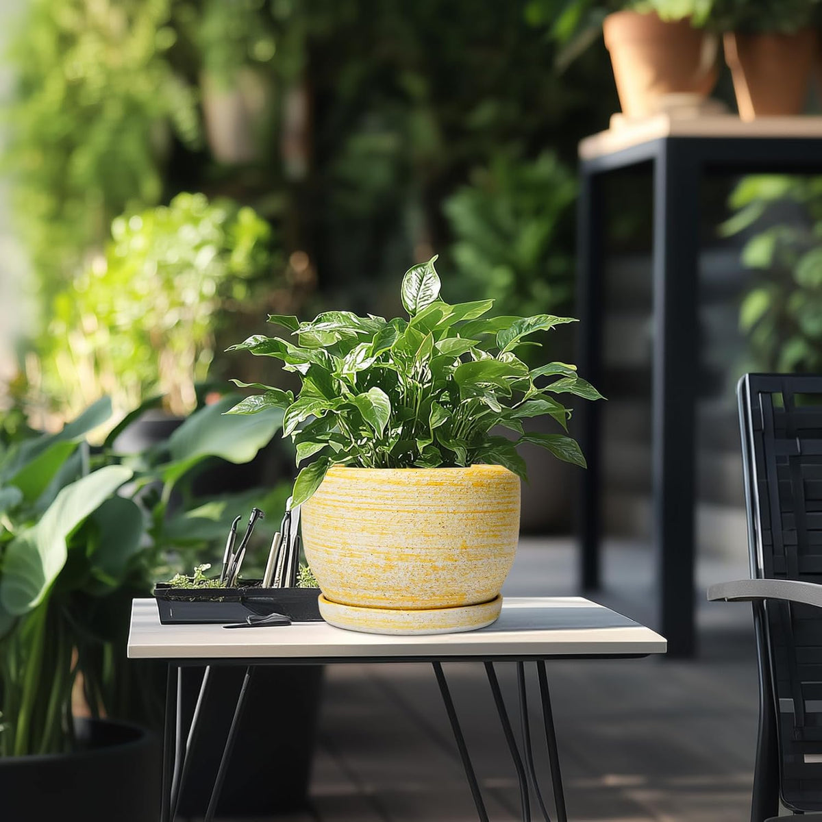 SQOWL Ceramic Flower Pots - 8 inch Plant Pot Indoor with Drainage Hole and Saucer, Modern Ceramic