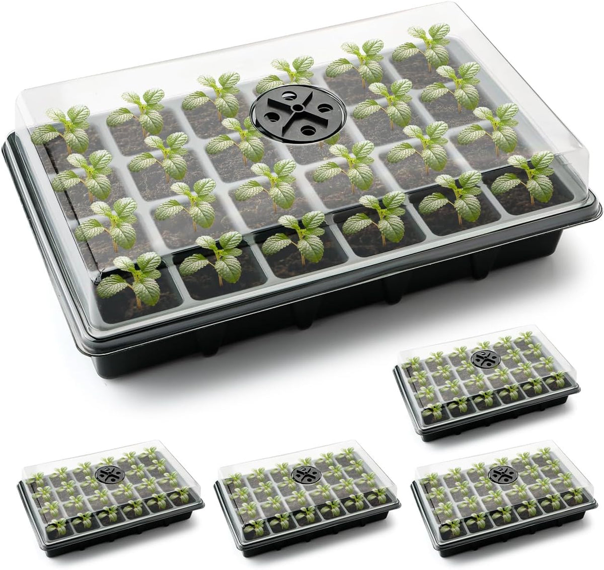 Seed Starter Tray with Dome-5 Sets 24XL Cell Seedling Trays(Total 120 Cells), Plant Germination