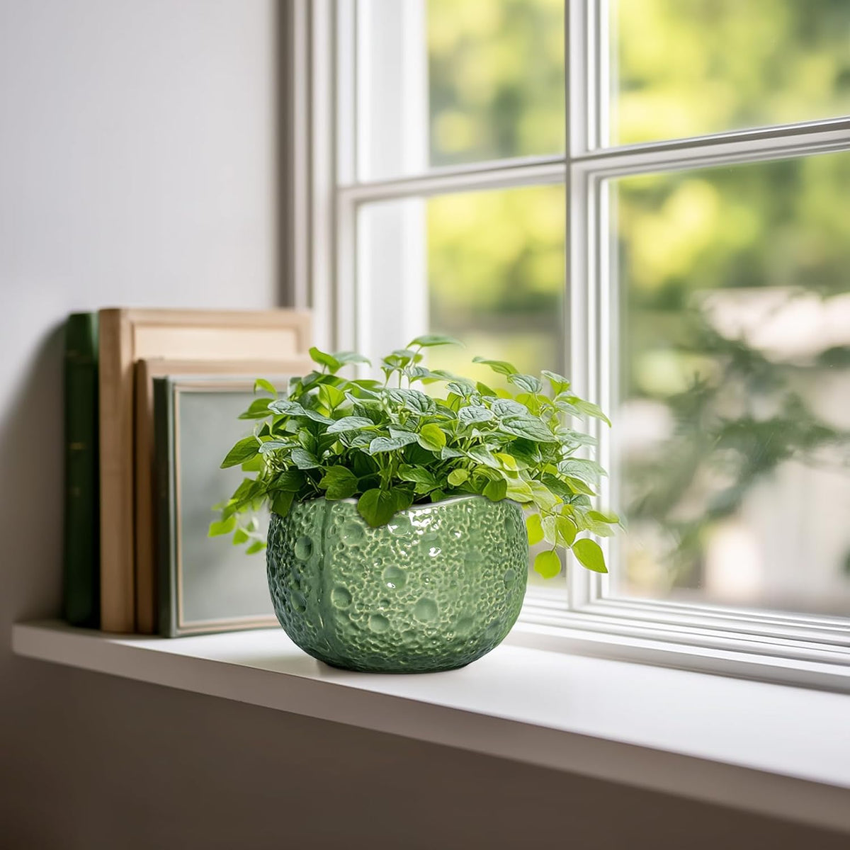 6 Inch Plant Pot - Orchid Pot with Drainage Hole, Ceramic Planter for Indoor Outdoor, Decorative